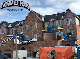 Maura Roofing in Tiny